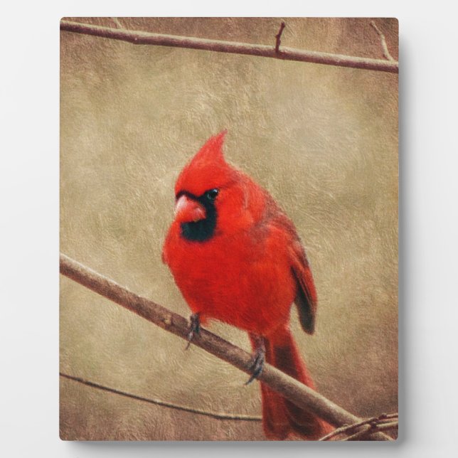 Cardinal Plaque (Front)