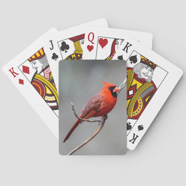 Cardinal Playing Cards (Back)