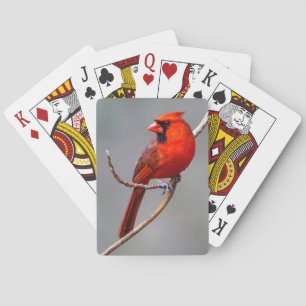 Cardinal Playing Cards