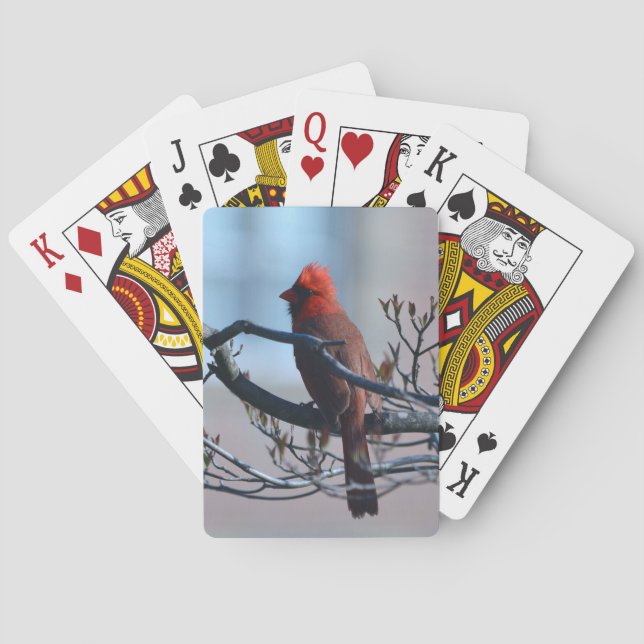 Cardinal Poker Cards (Back)