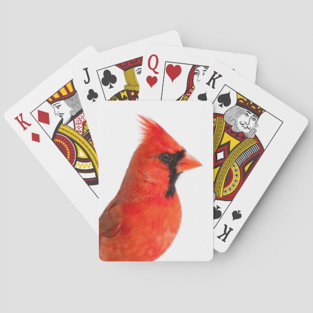 Cardinal Poker Cards (Back)