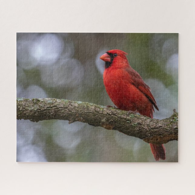Cardinal Portrait Jigsaw Puzzle (Horizontal)