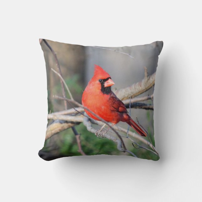 Cardinal Portrait Throw Pillow (Front)