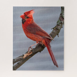 Cardinal - Red Bird - 16x20 - 520 pc Jigsaw Puzzle