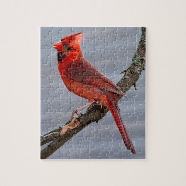 Cardinal - Red Bird - 8x10 - 110 pc Jigsaw Puzzle (Vertical)