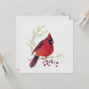 Cardinal Red Bird Art