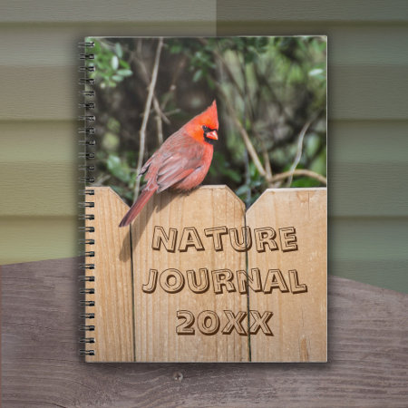 Cardinal (red Bird) Journal Notebook