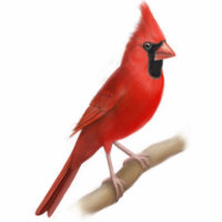Cardinal Red Bird Ornament