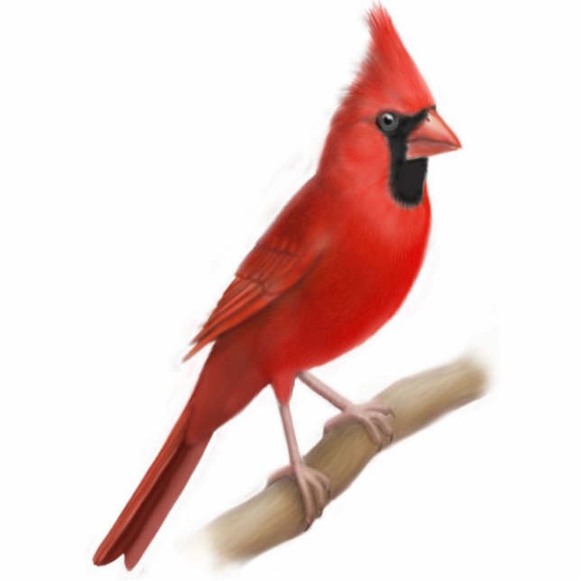 Cardinal Red Bird Ornament (Front)