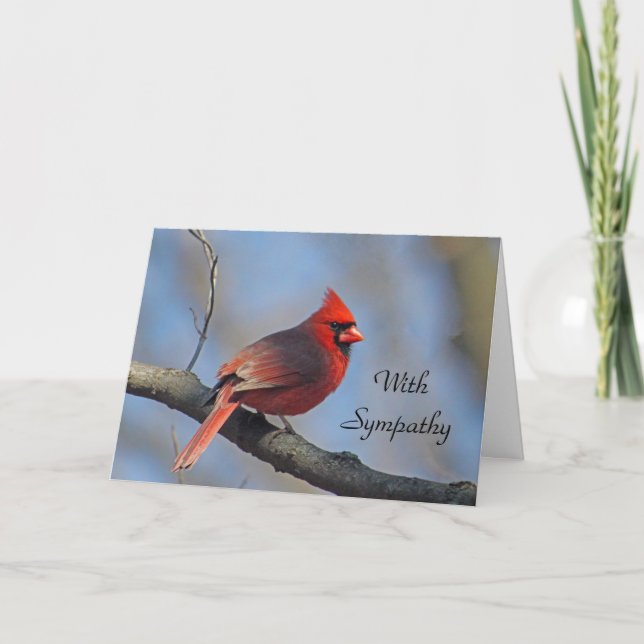 Cardinal Red Songbird Sympathy Card (Front)