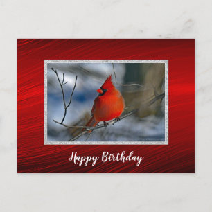 Cardinal Red Winter Photo Birthday Postcard