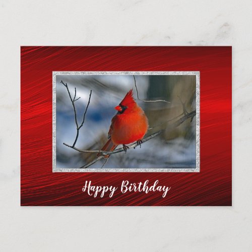 Cardinal Red Winter Photo Birthday Postcard