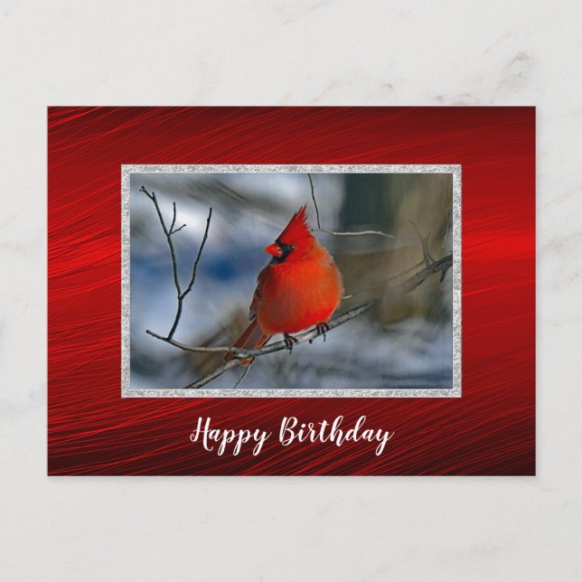 Cardinal Red Winter Photo Birthday Postcard (Front)