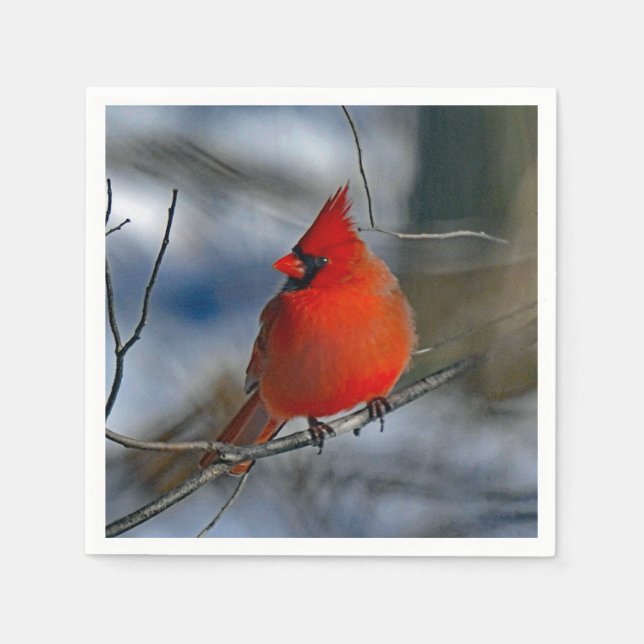 Cardinal Red Winter Photo Napkins (Front)