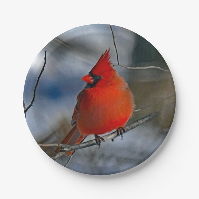 Cardinal Red Winter Photo Paper Plates (Front)