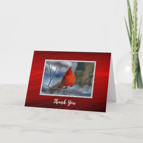 Cardinal Red Winter Photo Thank You Card
