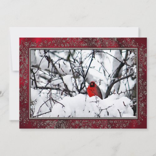 Cardinal Redbird Snow Photo Christmas Flat Holiday Card