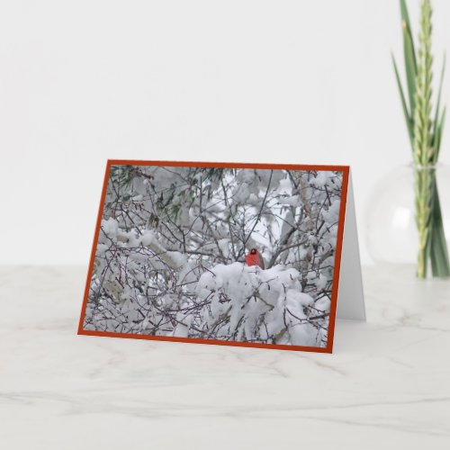 Cardinal Redbird Snow Photo Christmas Holiday Card