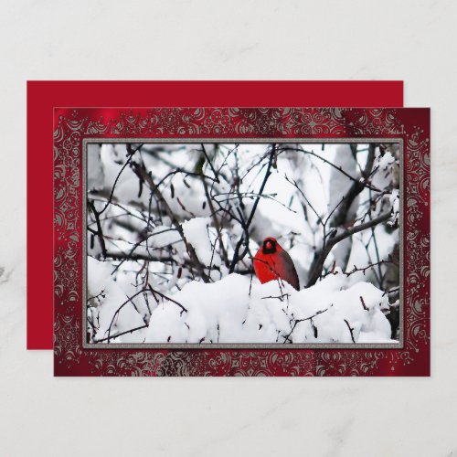 Cardinal Redbird Snow Photo Christmas Invitation