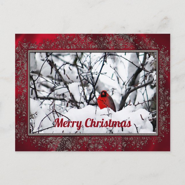 Cardinal Redbird Snow Photo Christmas Postcard (Front)
