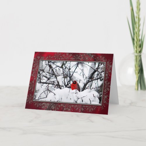 Cardinal Redbird Snow Photo Frame Christmas Holiday Card