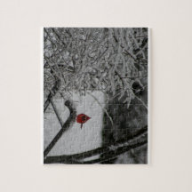 Cardinal Resting in the Snow