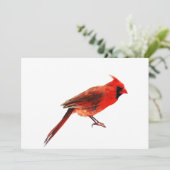 Cardinal(s) (Standing Front)