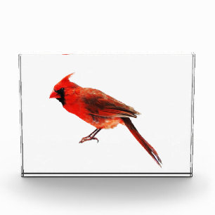 Cardinal(s) Acrylic Award