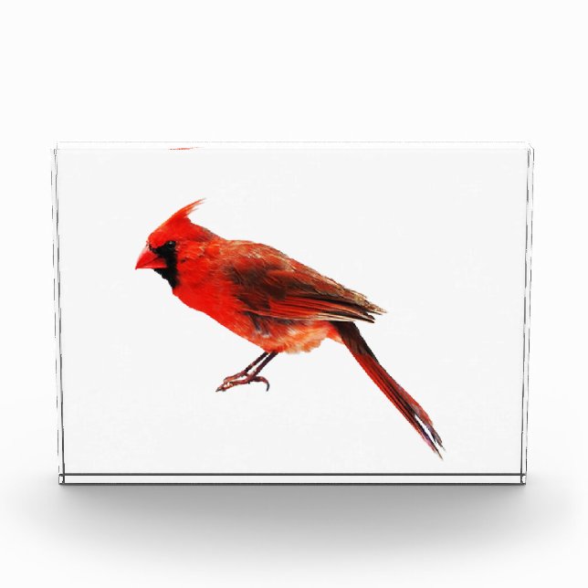 Cardinal(s) Acrylic Award (Front)