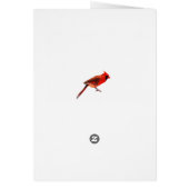 Cardinal(s) Cards (Back)
