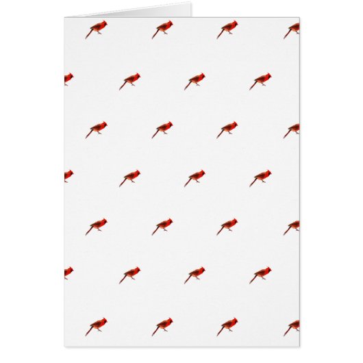 Cardinal(s) Cards (Front)