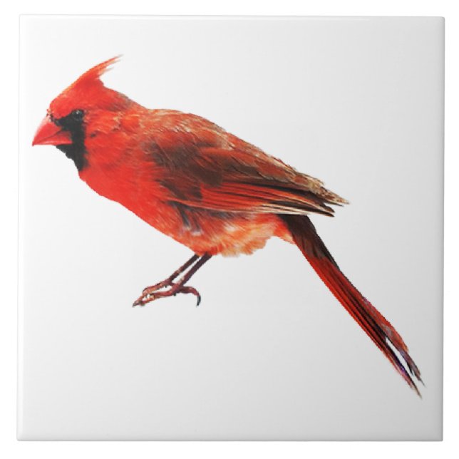 Cardinal(s) Ceramic Tile (Front)