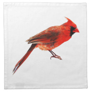 Cardinal(s) Cloth Napkin