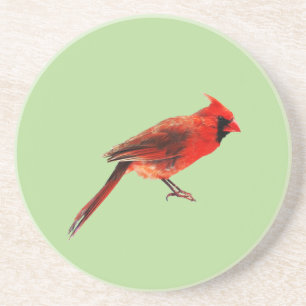 Cardinal(s) Coaster
