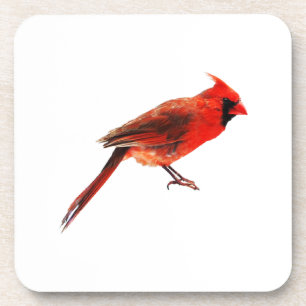 Cardinal(s) Drink Coaster