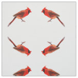 Cardinal(s) Fabric