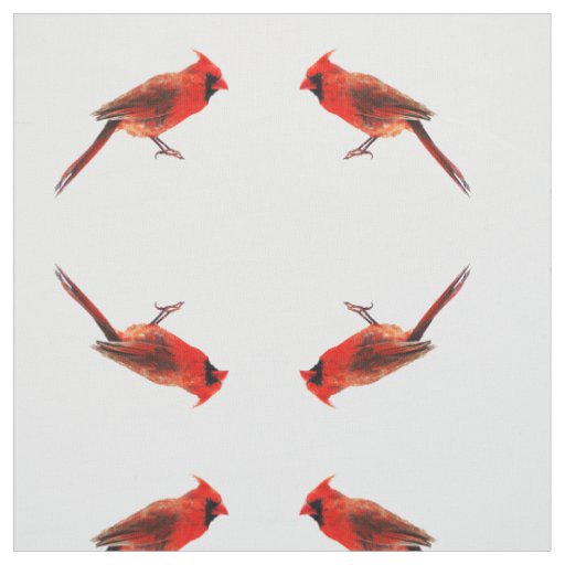 Cardinal(s) Fabric