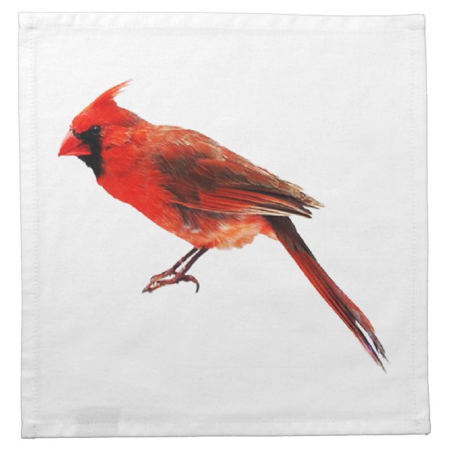 Cardinal(s) Napkin (Front)