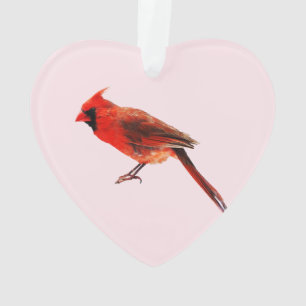 Cardinal(s) Ornament