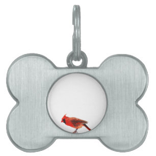 Cardinal(s) Pet ID Tag