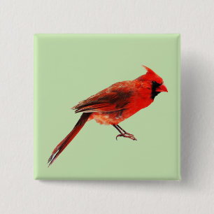 Cardinal(s) Pinback Button
