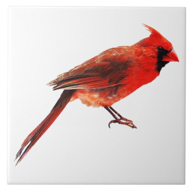 Cardinal(s) Tile (Front)