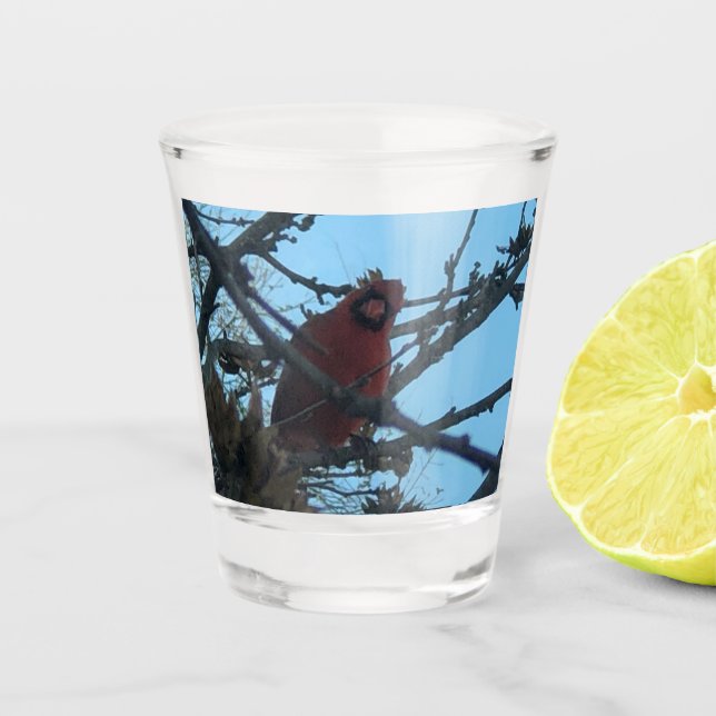 Cardinal  shot glass (Front)