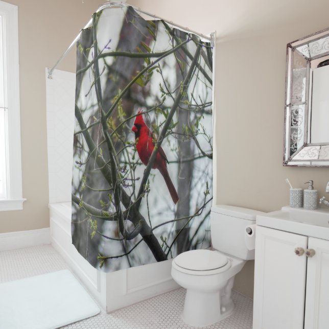 Cardinal Shower Curtain (In Situ)