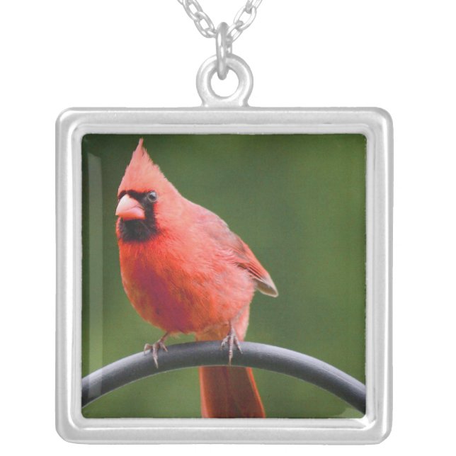 Cardinal Silver Plated Necklace (Front)