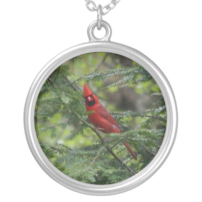 Cardinal  silver plated necklace (Front)