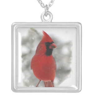 Cardinal Silver Plated Necklace