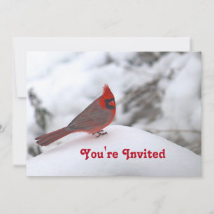 Cardinal Snow 6241 Birthday Invitation