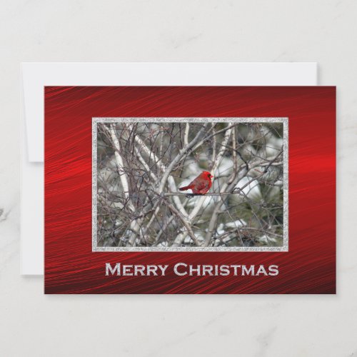Cardinal Snow Birch Tree Photo Christmas Flat Holiday Card