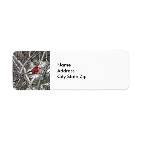Cardinal Snow Birch Tree Photo Label